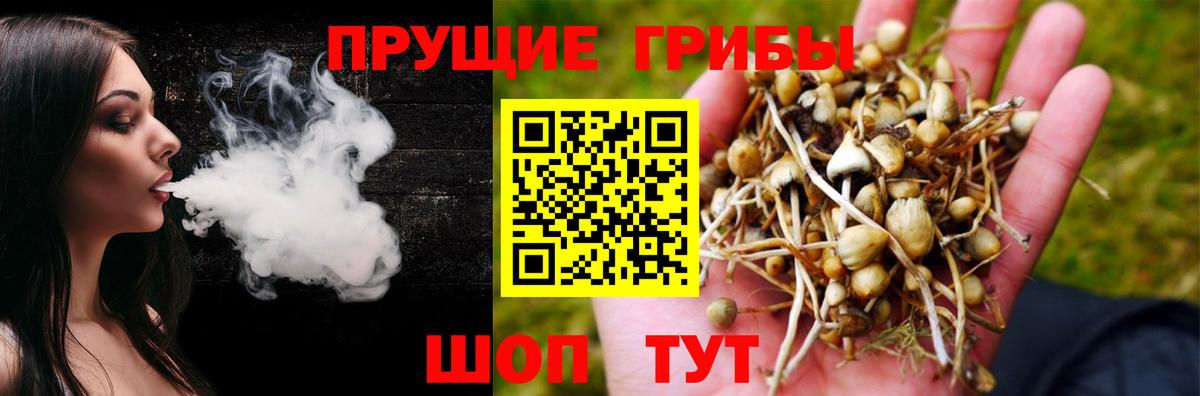 Мытищи  Галлюциногенные грибы Magic Shrooms  Вход с VPN 